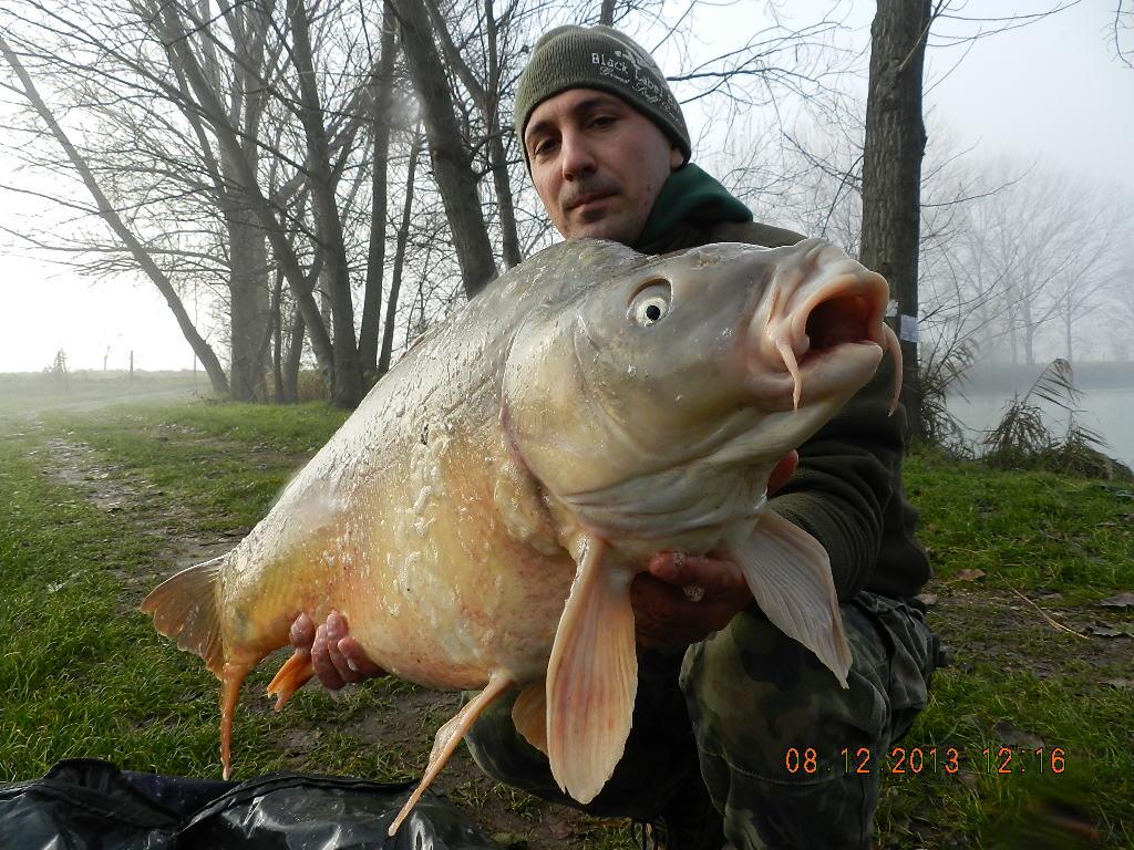 iarna cu carpfishing - dscn1864.JPG